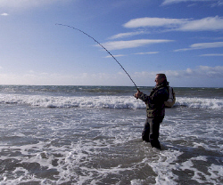 Bass fishing at Rosslare Strand